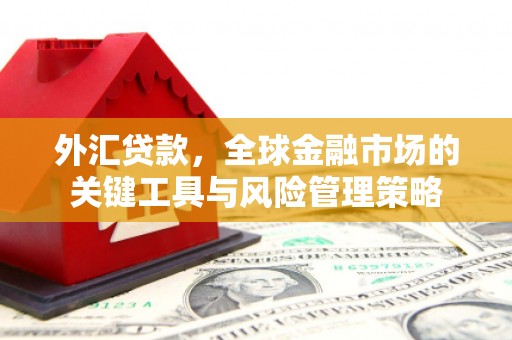 涪陵外汇贷款，全球金融市场的关键工具与风险管理策略