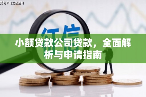 涪陵小额贷款公司贷款，全面解析与申请指南