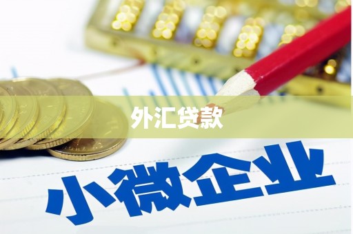 涪陵外汇贷款