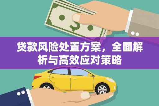 涪陵贷款风险处置方案，全面解析与高效应对策略