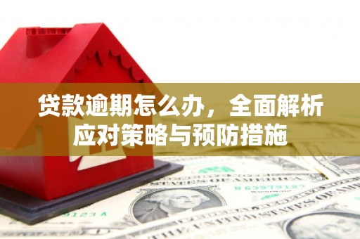 涪陵贷款逾期怎么办，全面解析应对策略与预防措施