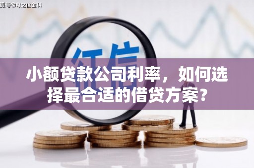 涪陵小额贷款公司利率，如何选择最合适的借贷方案？