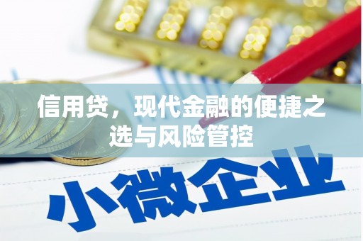 涪陵信用贷，现代金融的便捷之选与风险管控