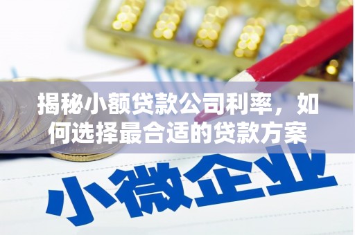 涪陵揭秘小额贷款公司利率，如何选择最合适的贷款方案