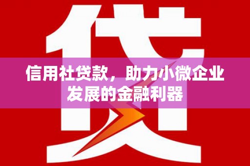 涪陵信用社贷款，助力小微企业发展的金融利器