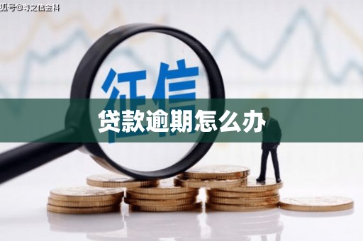 涪陵贷款逾期怎么办