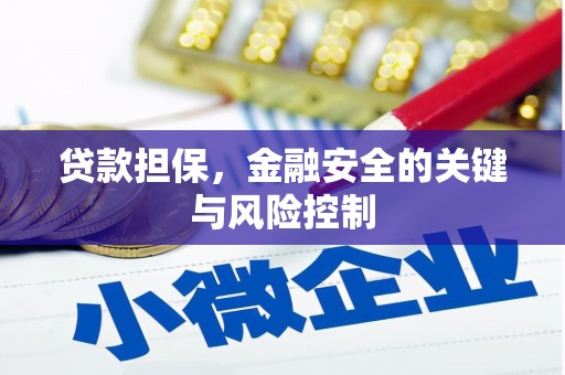 涪陵贷款担保，金融安全的关键与风险控制
