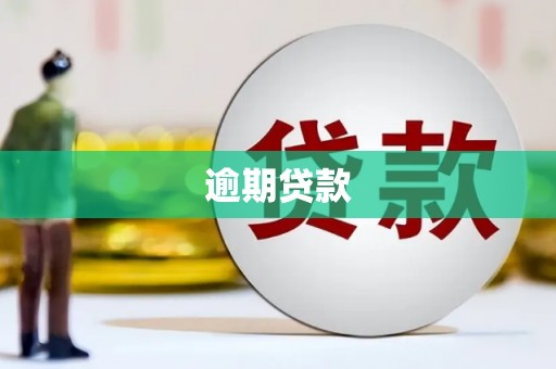 涪陵逾期贷款